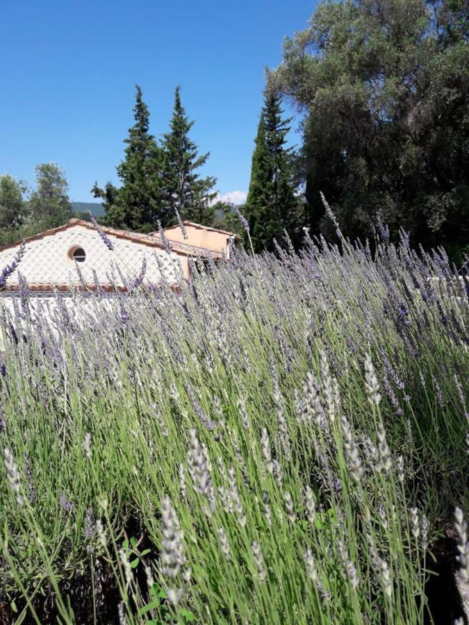 Apartment Cezanne With Heated Pool And Private Garden Chateauneuf-Grasse Esterno foto
