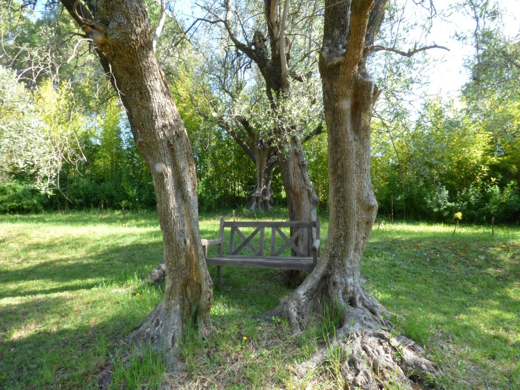 Apartment Cezanne With Heated Pool And Private Garden Chateauneuf-Grasse Esterno foto