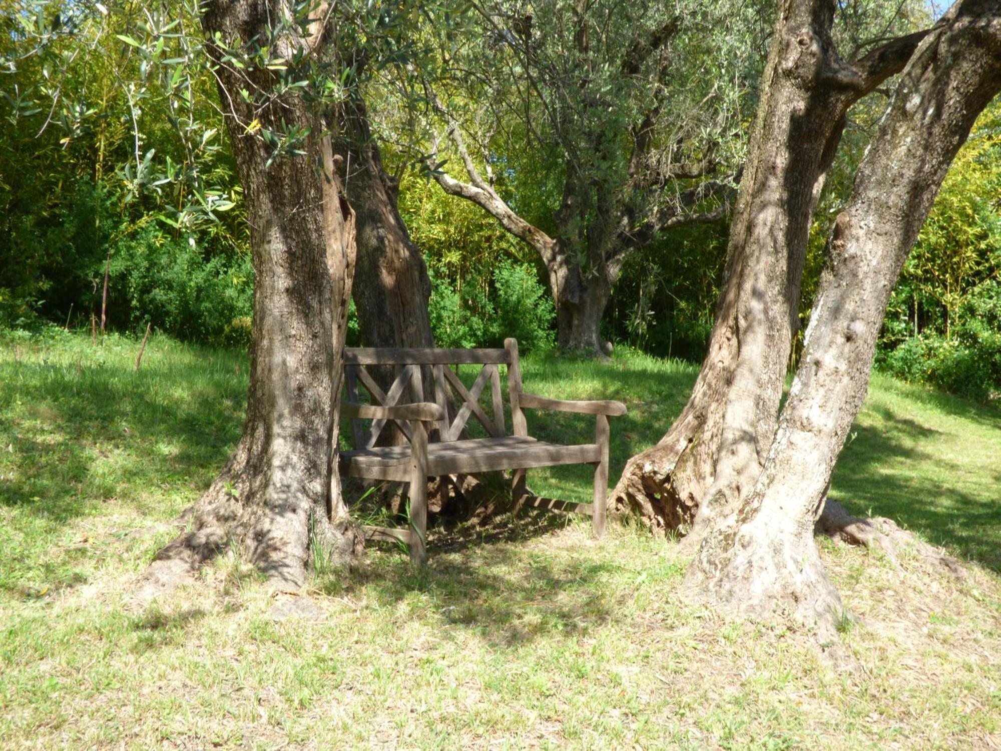 Apartment Cezanne With Heated Pool And Private Garden Chateauneuf-Grasse Esterno foto