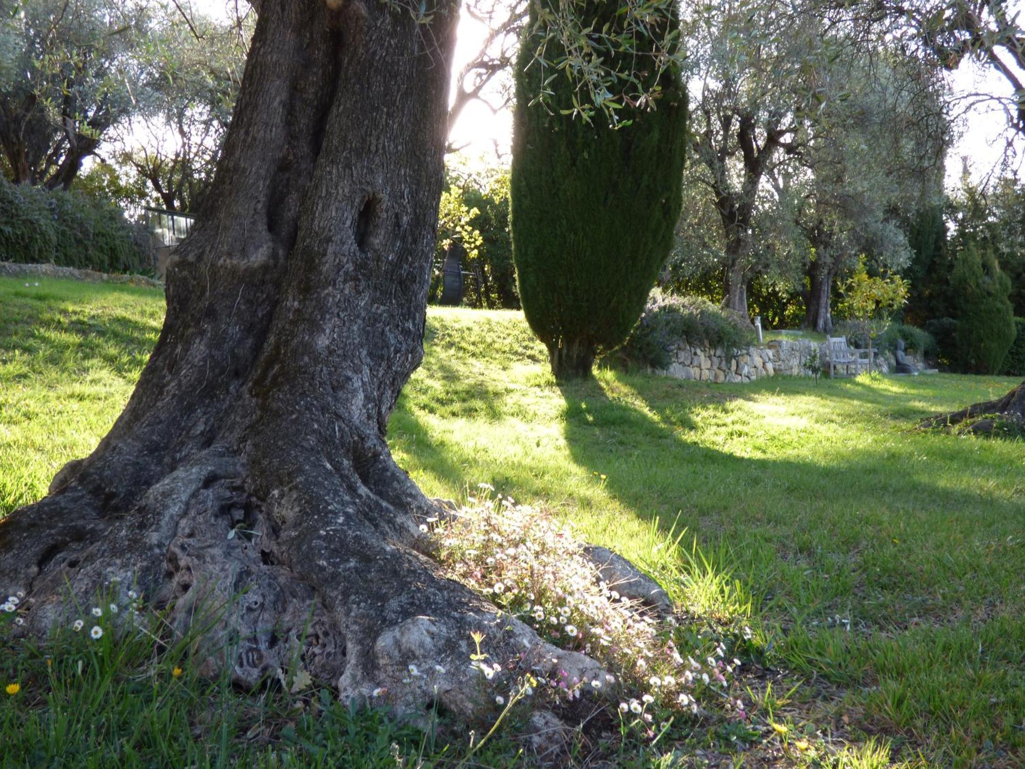 Apartment Cezanne With Heated Pool And Private Garden Chateauneuf-Grasse Esterno foto
